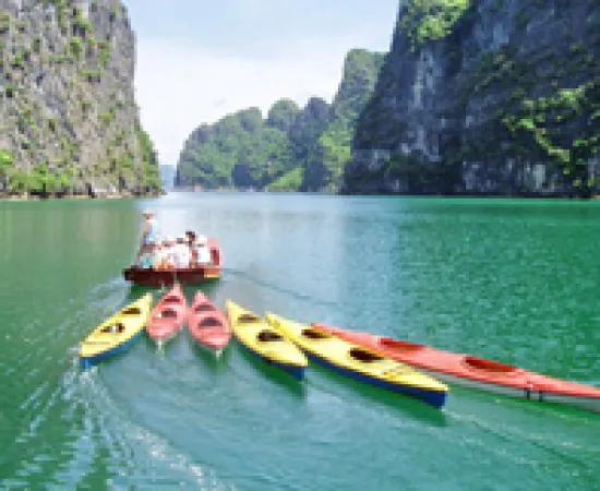 VIETNAM MAJESTY