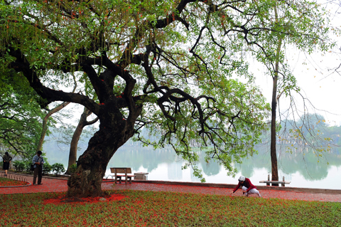 Hanoi - Sword Lake