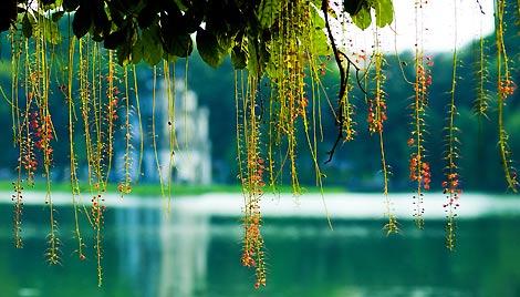 Sword Lake - Hanoi